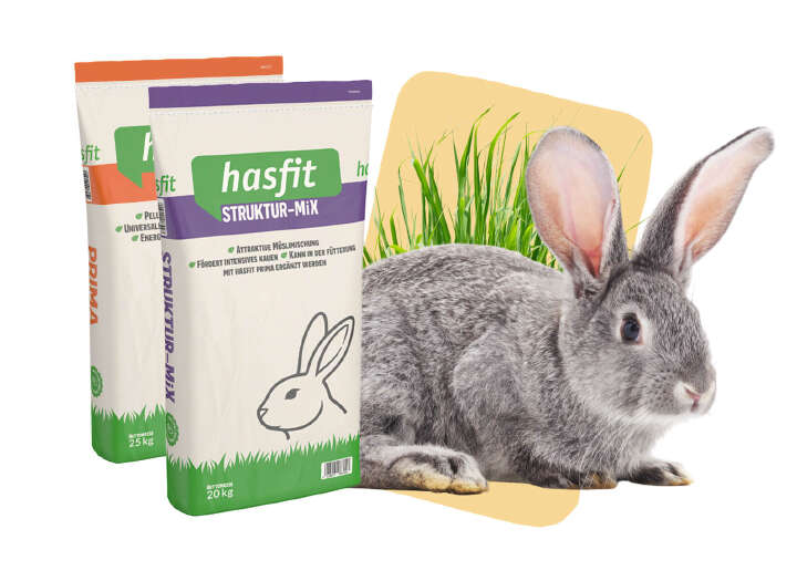 EQ Unsere Marken hasfit